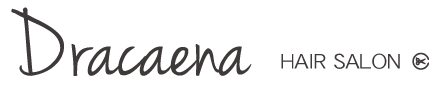 dracaena HAIR SARON